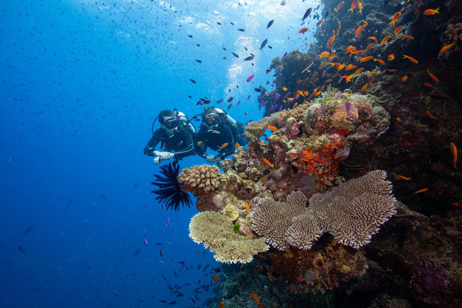 Explore the Heart of Maldives – 5 Nights / 6 Days Rasdhoo Island Getaway
