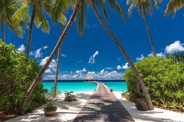 Gangehi Secret Sandbank Getaway – 4 Nights / 5 Days