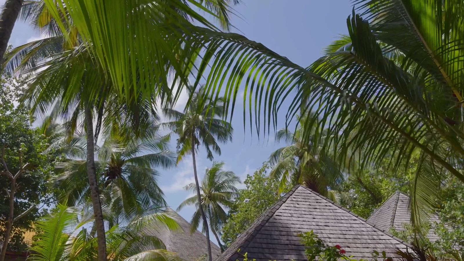 Gangehi Secret Sandbank Getaway – 4 Nights / 5 Days