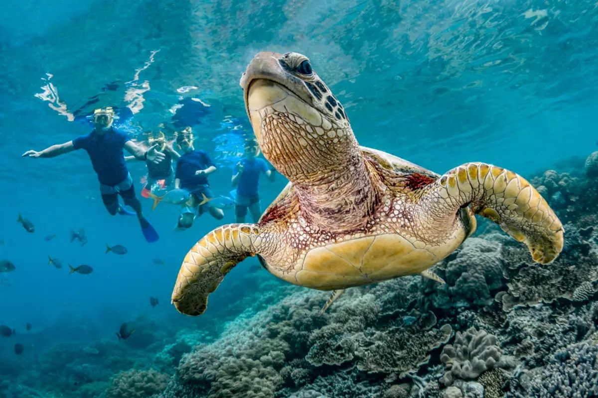 Surf & Chill – 5 Nights & 6 Days on Huraa Island