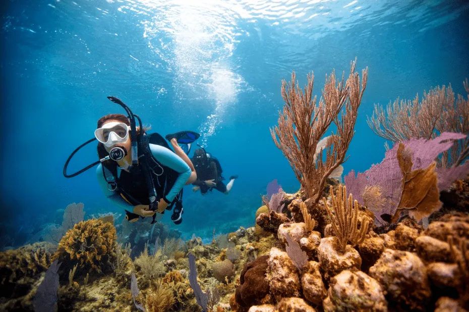 Explore the Heart of Maldives – 5 Nights / 6 Days Rasdhoo Island Getaway