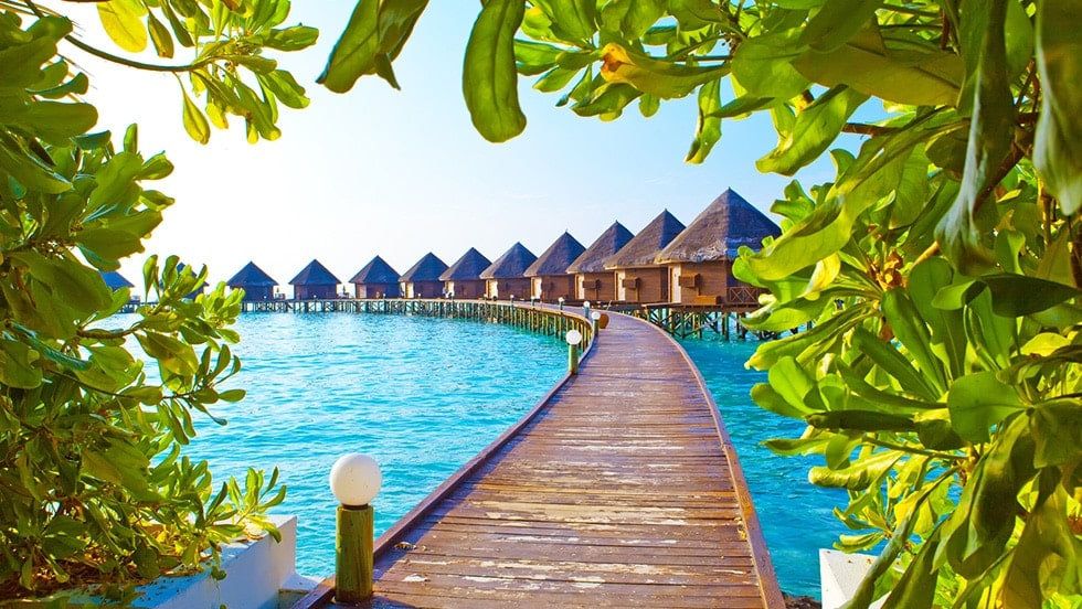 Gangehi Island Resort & Spa