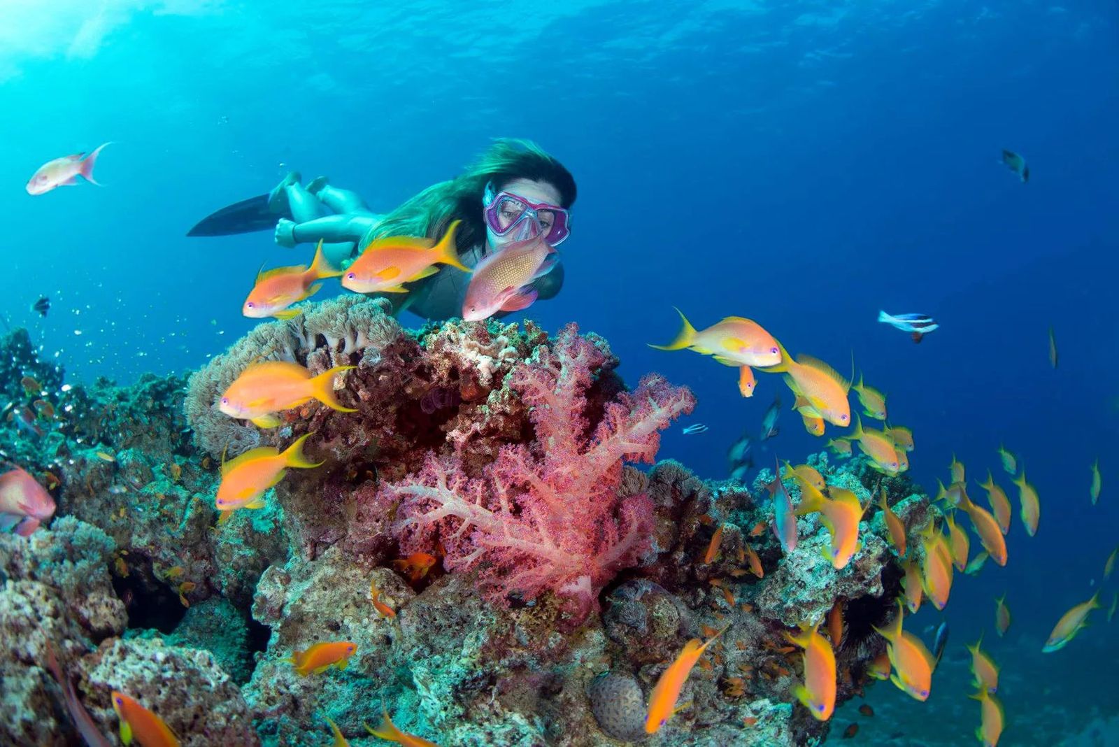 Sandbank Bliss – Stay 4N/5D at Mathiveri Island