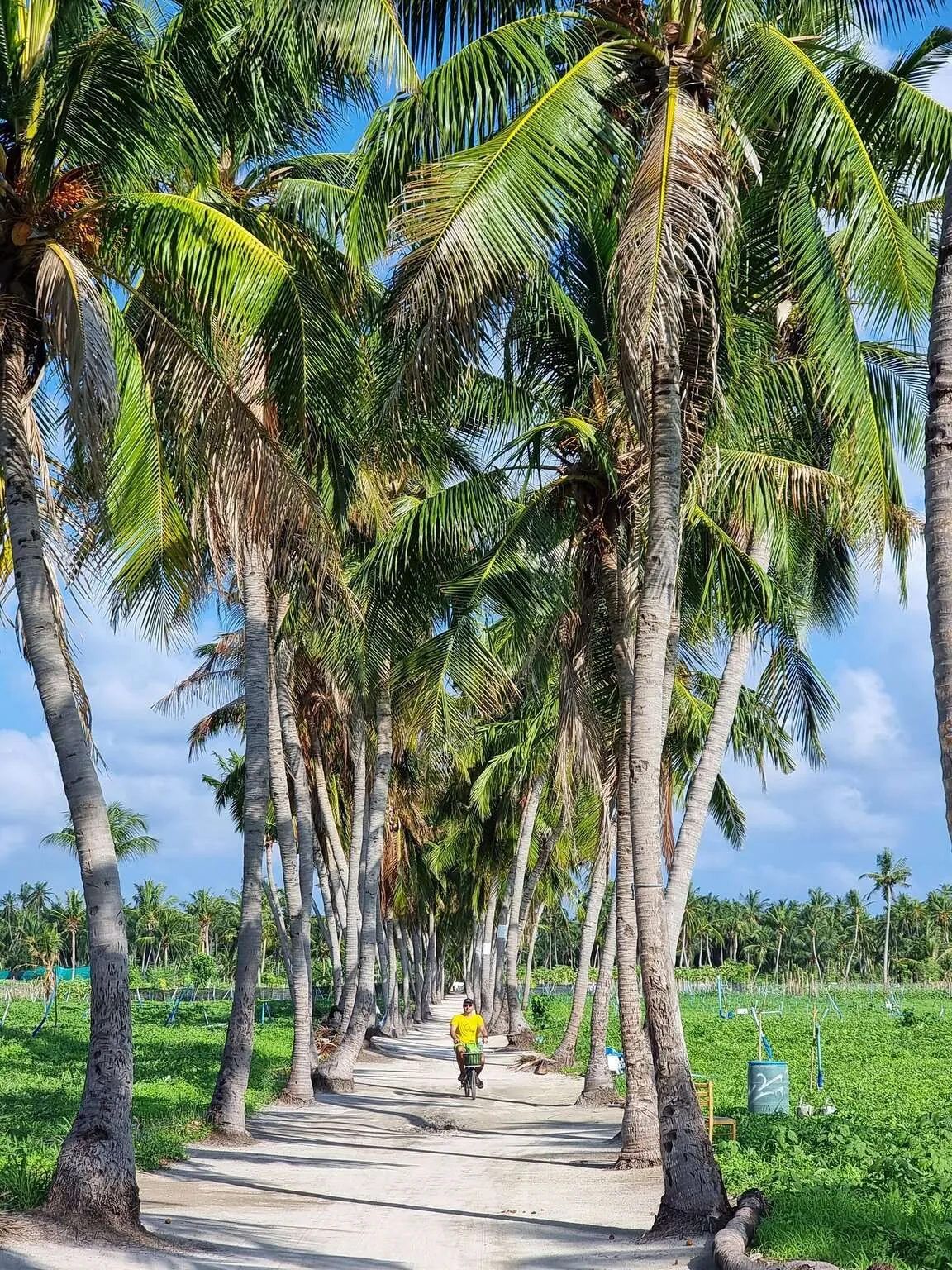Mid-Break Chill & Explore – 4N/5D School Break Getaway for Locals & Expats