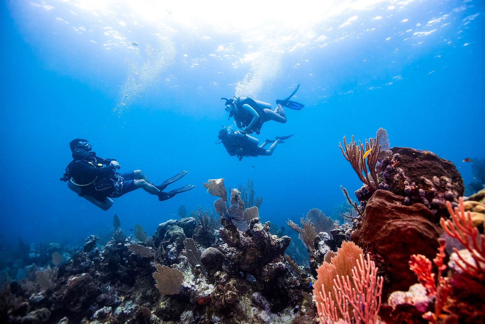 Explore the Heart of Maldives – 5 Nights / 6 Days Rasdhoo Island Getaway