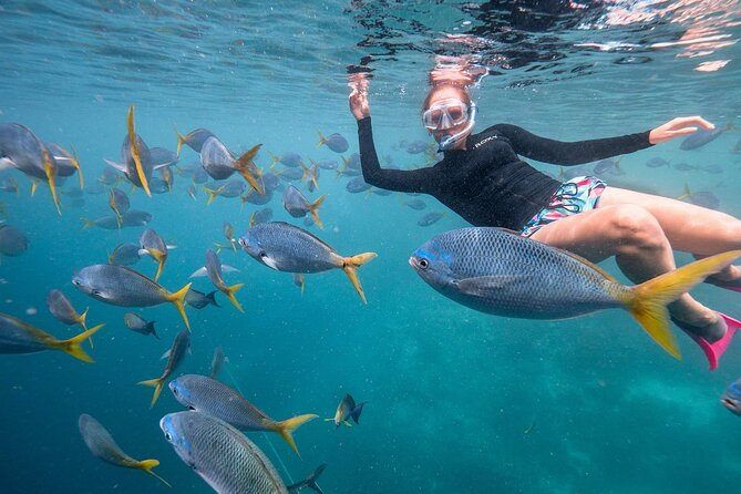India–Maldives Super Saver Group Holiday – 4N/5D