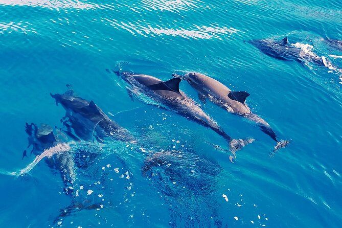 Discover Dhiffushi Island – 4 Nights / 5 Days